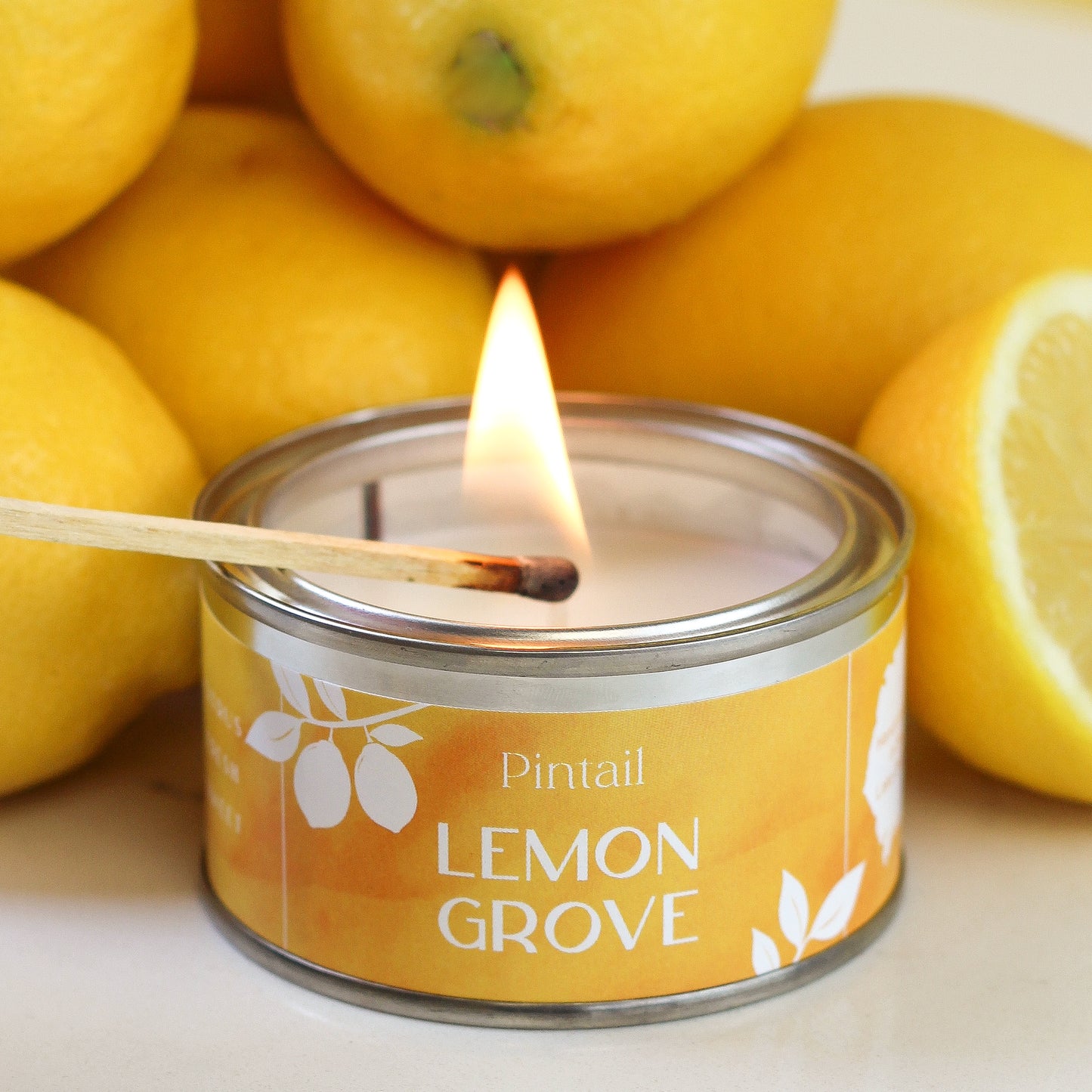Lemon Grove Paint Pot Candle