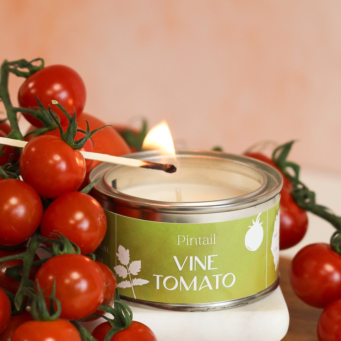 Vine Tomato Paint Pot