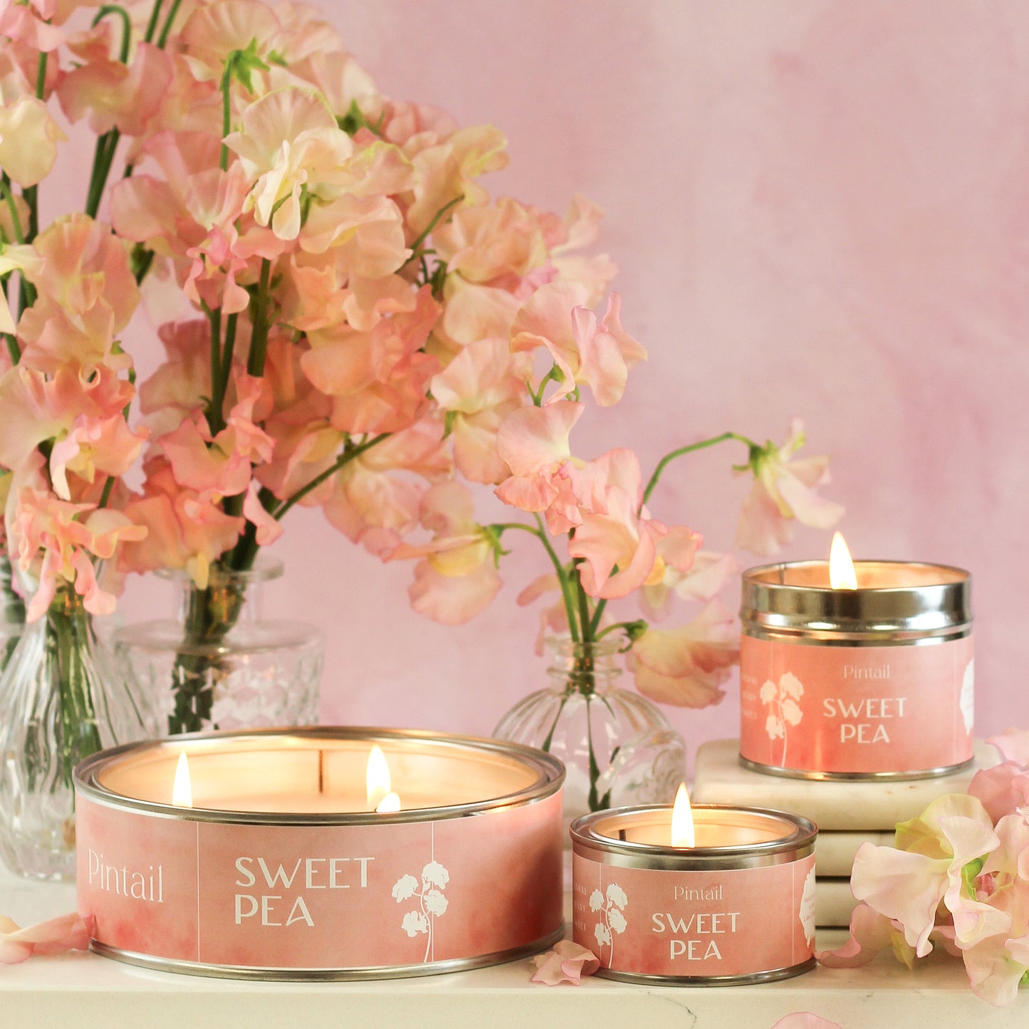 Sweet Pea Paint Pot Candle - SIX PACK