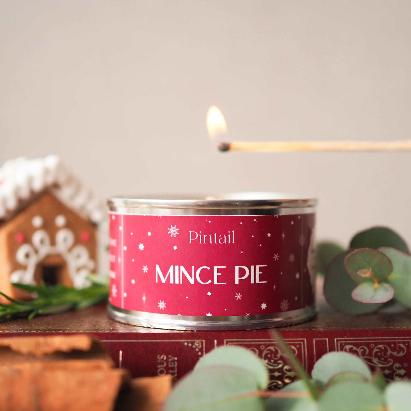 Mince Pie Paint Pot