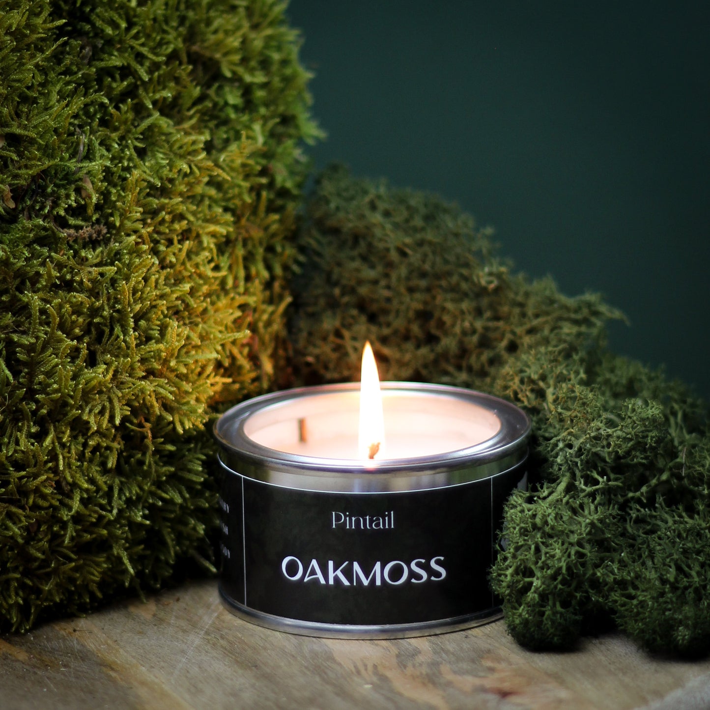Oakmoss Paint Pot Candle