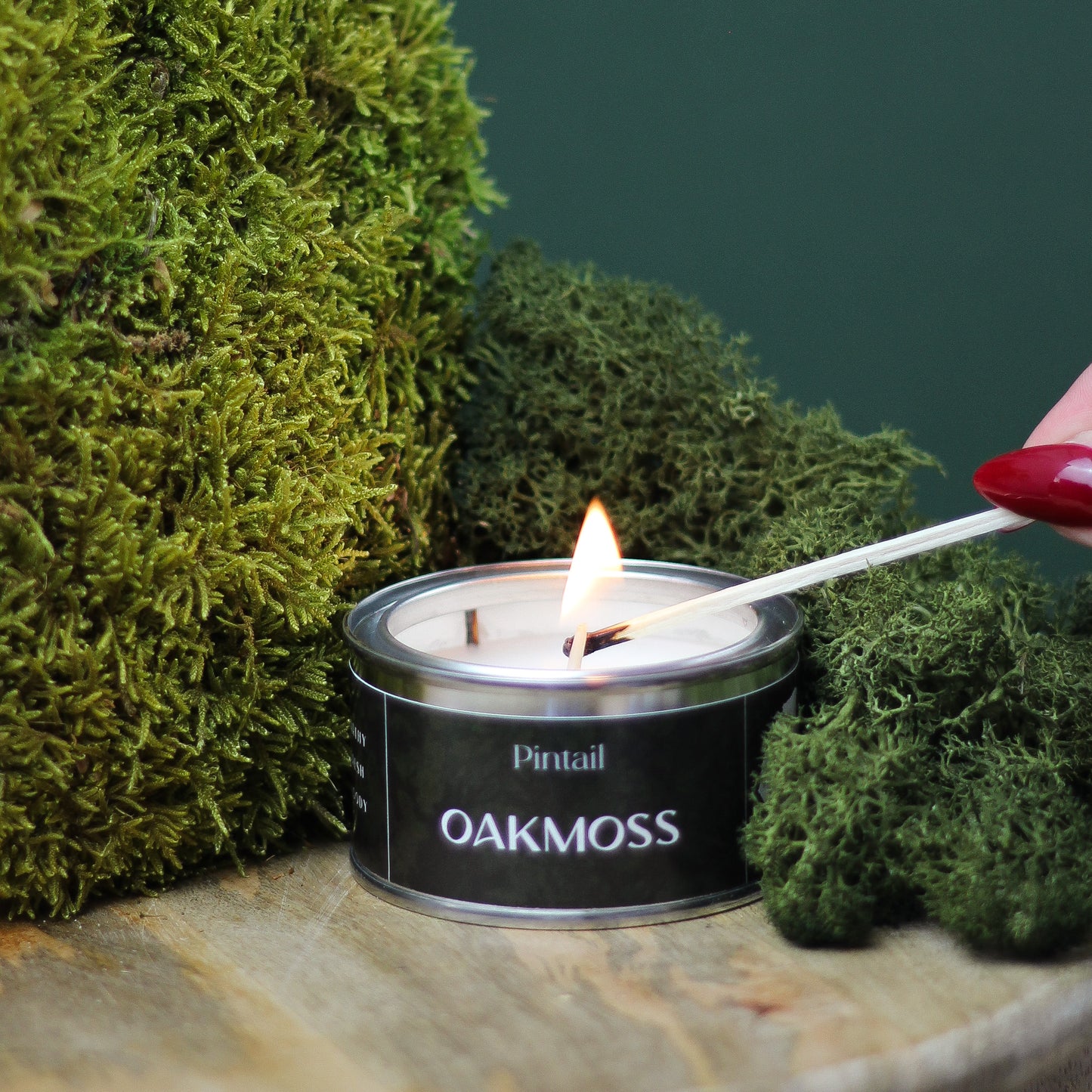 Oakmoss Paint Pot Candle