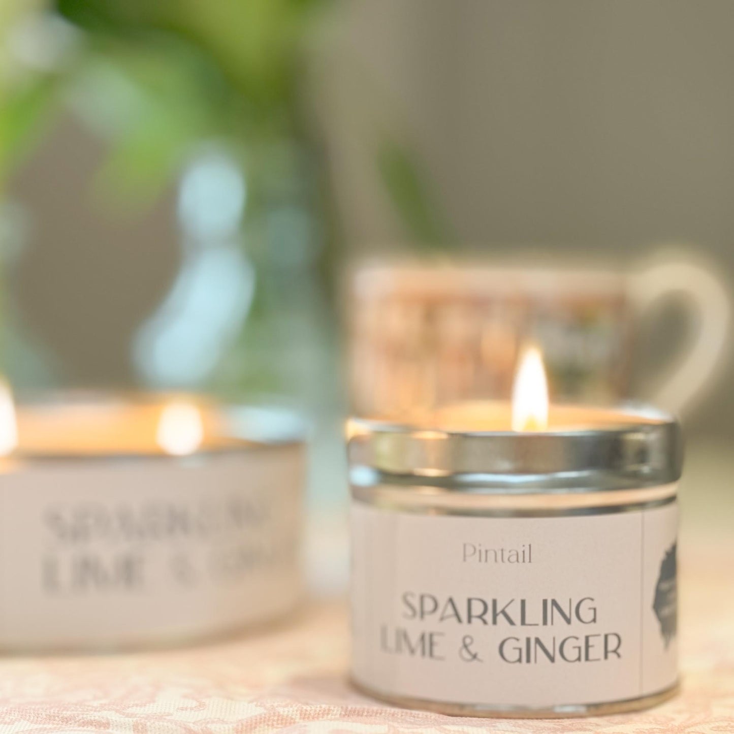 Sparkling Lime & Ginger Classic Tin