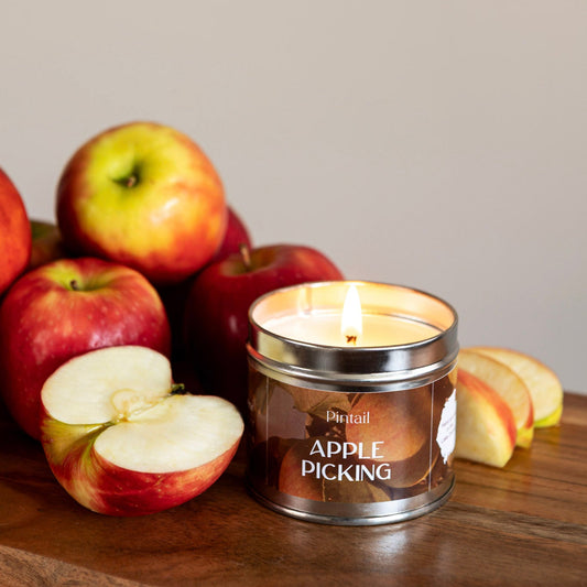Apple Picking Classic Tin Candle