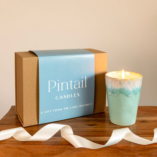 Driftwood in Costa Nova Ceramic Candle