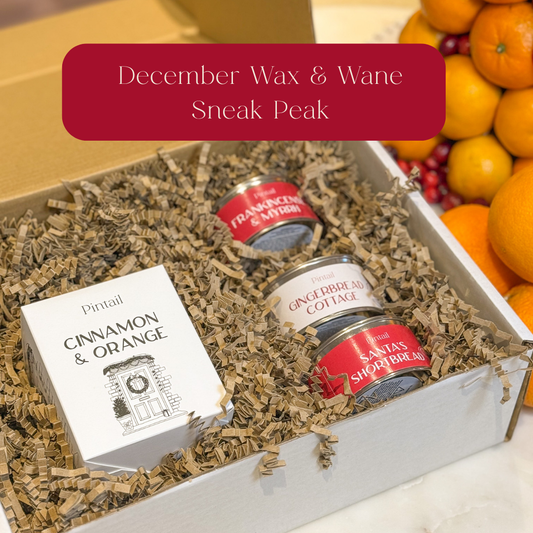 Wax & Wane Candle Subscription Box
