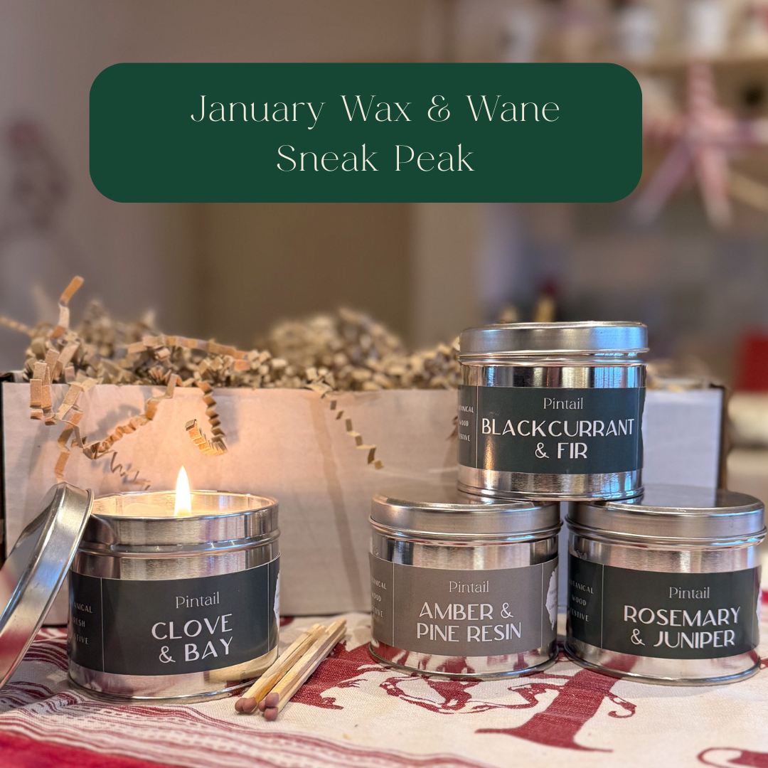 Wax & Wane Candle Subscription Box