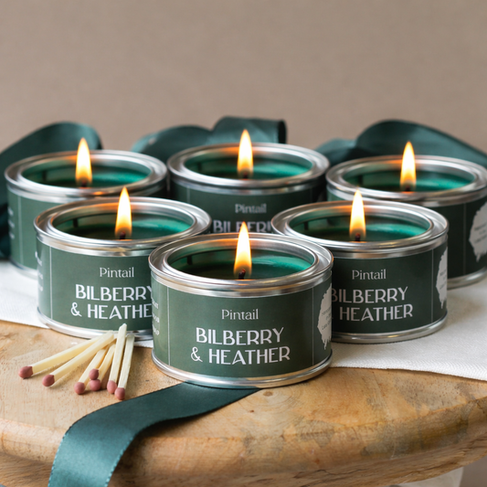 Bilberry & Heather Paint Pot Candle SIX PACK