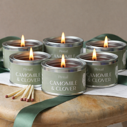 Camomile & Clover Paint Pot Candle SIX PACK