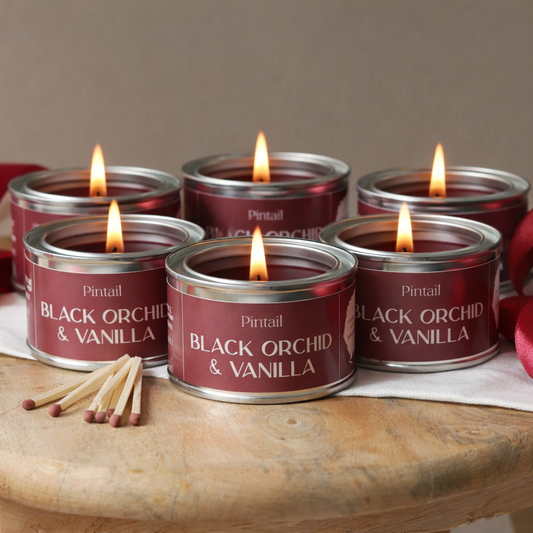 Black Orchid & Vanilla Paint Pot Candle Six Pack