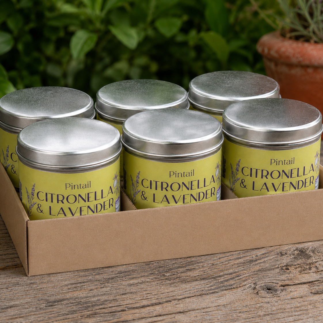 Citronella and Lavender Classic Tin Candle - SIX PACK