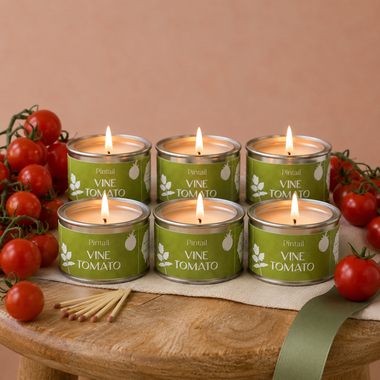 Vine Tomato Paint Pot Candle - SIX PACK