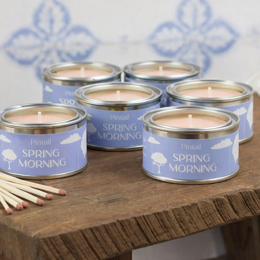 Spring Morning Paint Pots - Six Pack