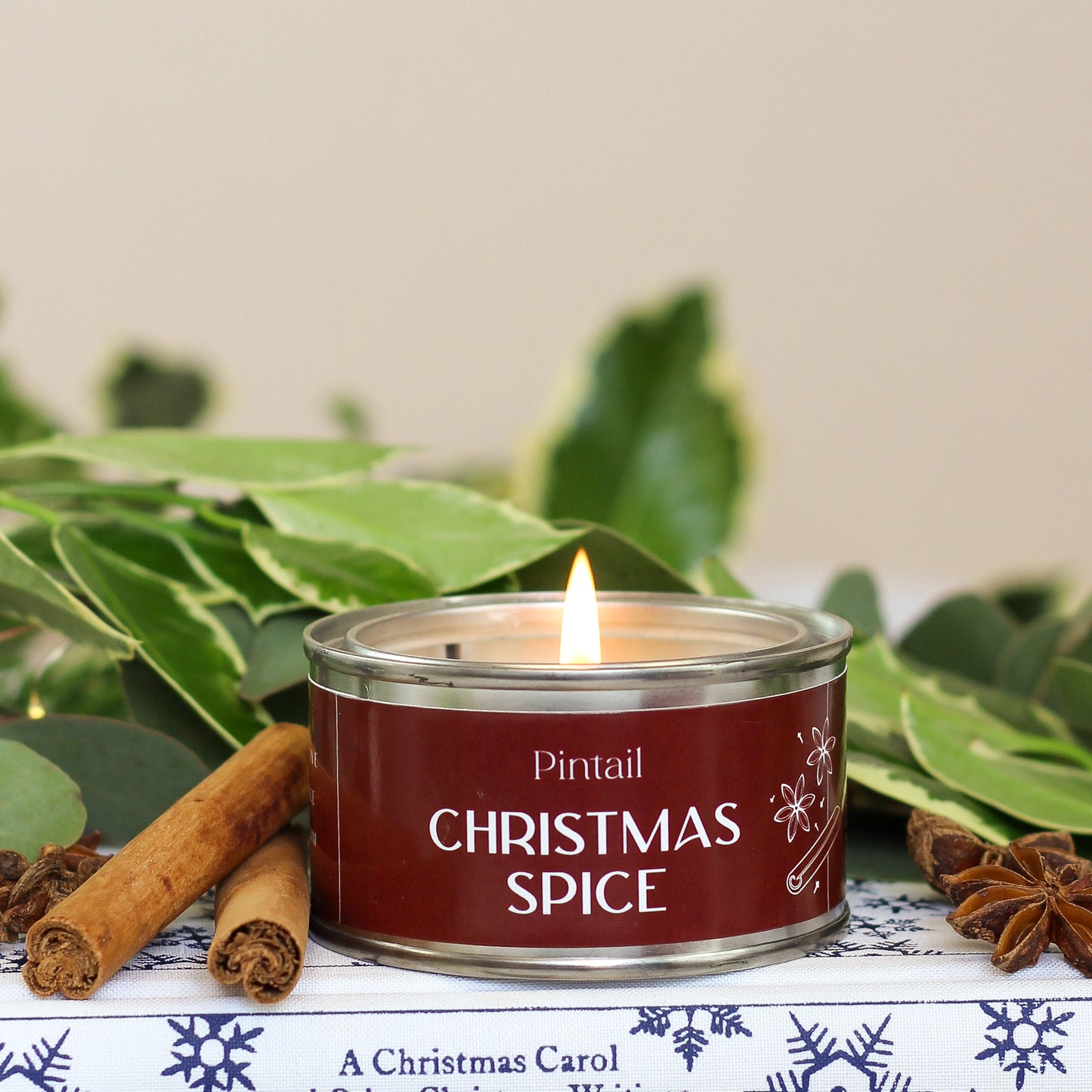 Christmas Spice Paint Pot