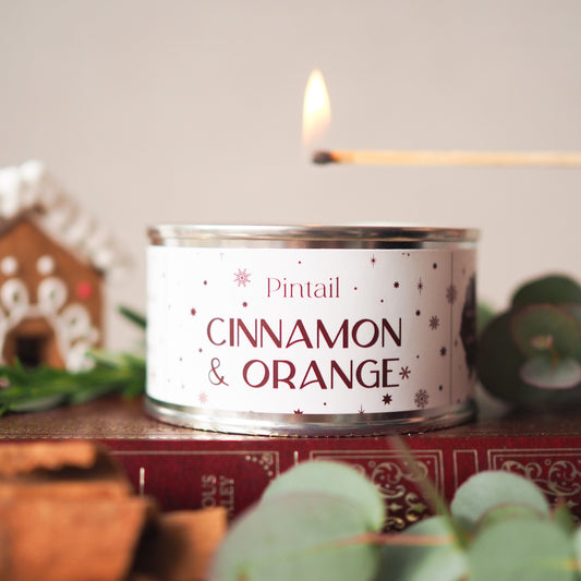 Cinnamon & Orange Paint Pot