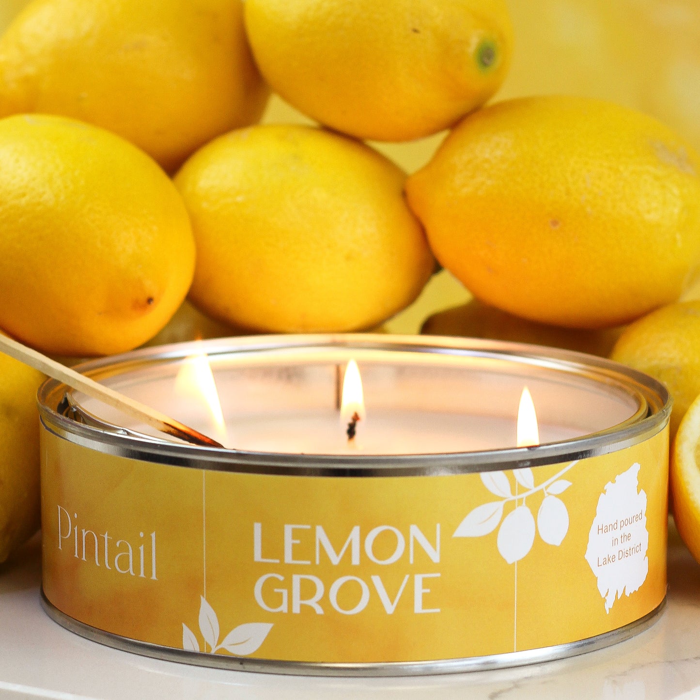 Lemon Grove Triple Wick