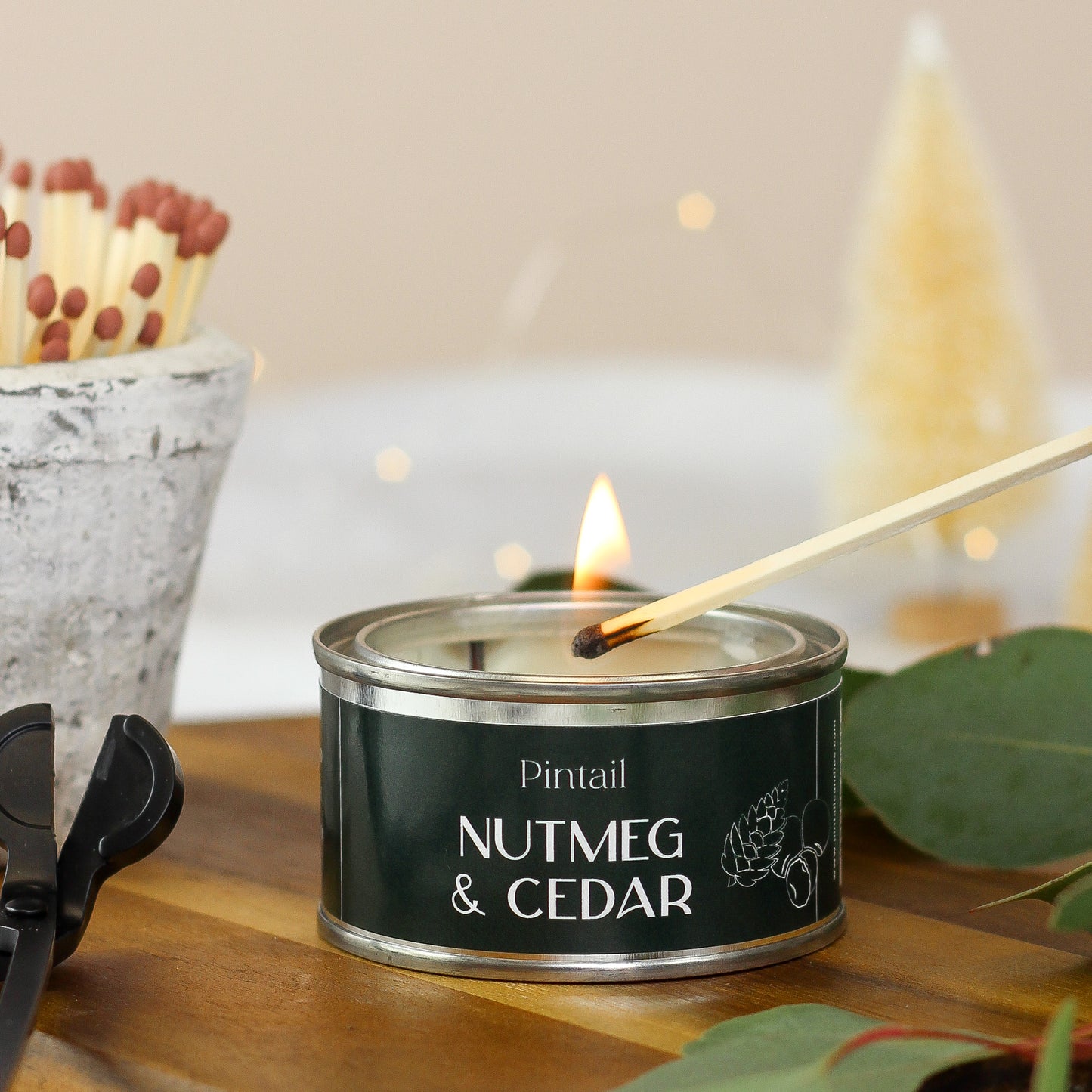 Nutmeg & Cedar Paint Pot Candle