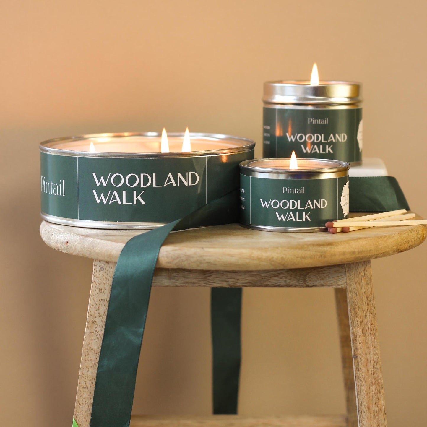 Woodland Walk Paint Pot Candle