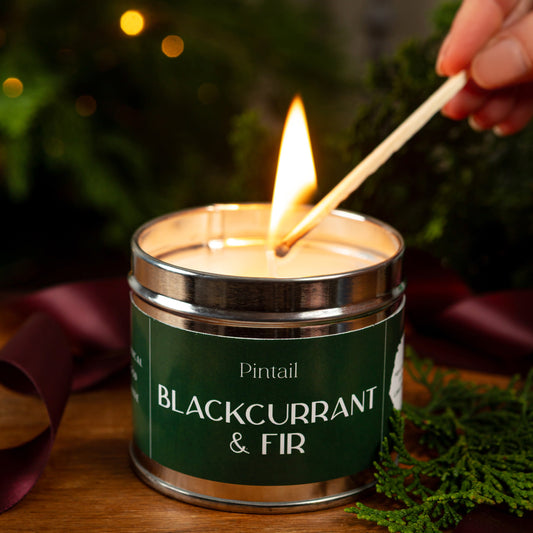 Blackcurrant & Fir Classic Tin - Pre Order for September Dispatch