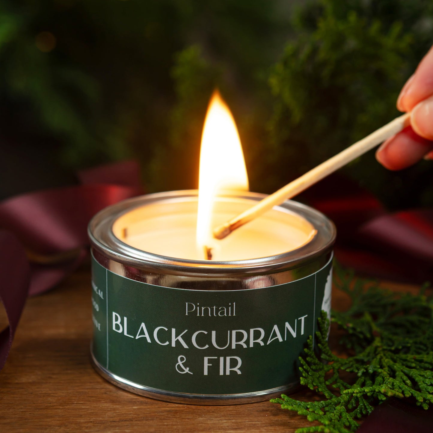 Blackcurrant & Fir Paint Pot - Pre Order for September Dispatch