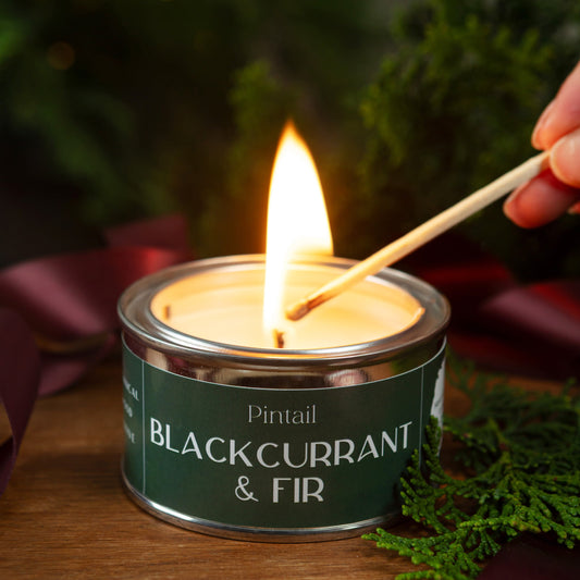 Blackcurrant & Fir Paint Pot - Pre Order for September Dispatch
