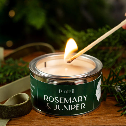 Rosemary & Juniper Paint Pot - Pre Order for September Dispatch