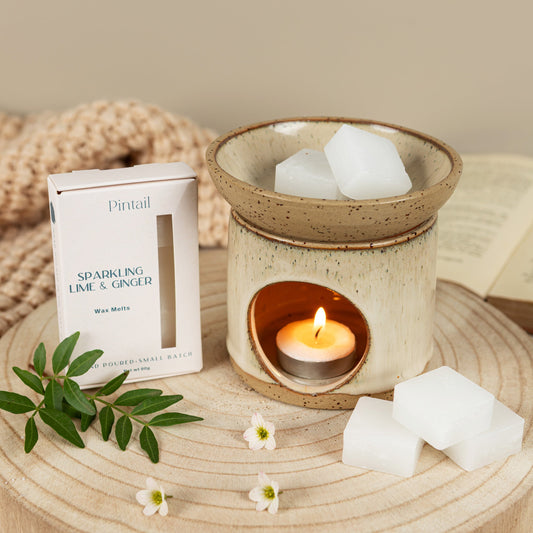Sparkling Lime & Ginger Wax Melts